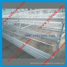 Poultry Layer Cages